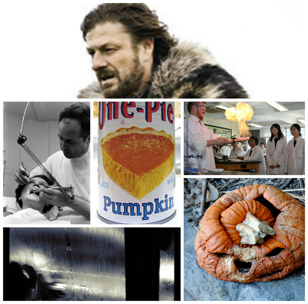 AL3 Autumn Pumpkin Collage