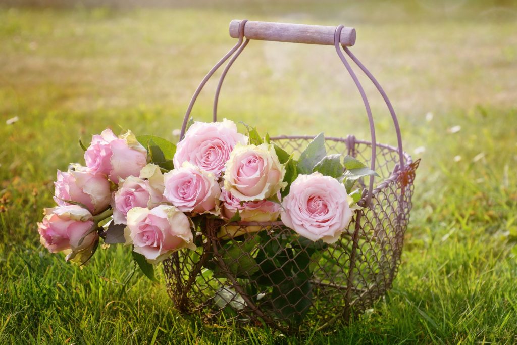 Roses in basket